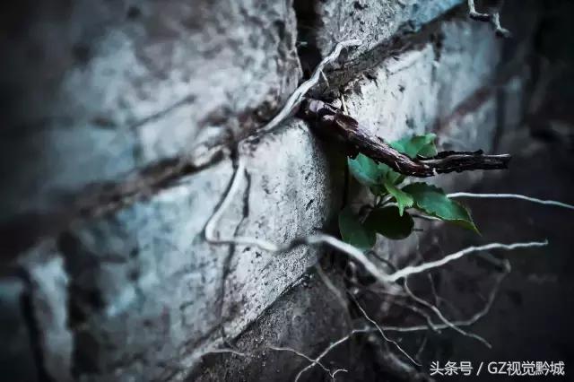 为什么摄影大师都喜欢拍黑白,为什么不推荐18-135的焦段