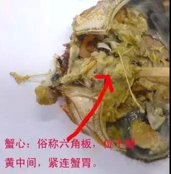 吃螃蟹休克好抢救过来就没事了吧,20岁小伙吃螃蟹中毒