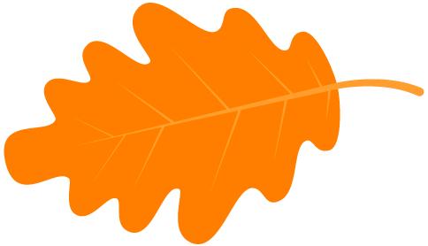 产科优秀护理集体,妇产科优秀护理团队