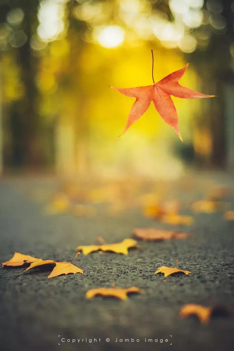 旅行必备的十大拍照好物,旅游最实用的拍照器材