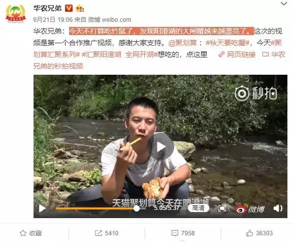 华农兄弟养竹鼠,华农兄弟养竹鼠的视频