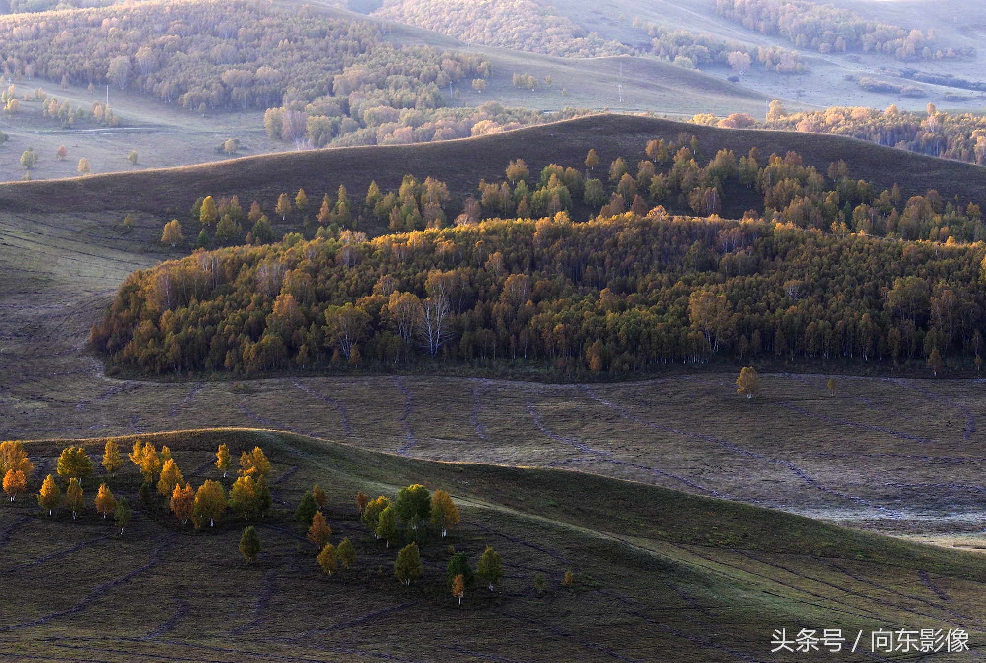 奥林巴斯配什么镜头,奥林巴斯配曲