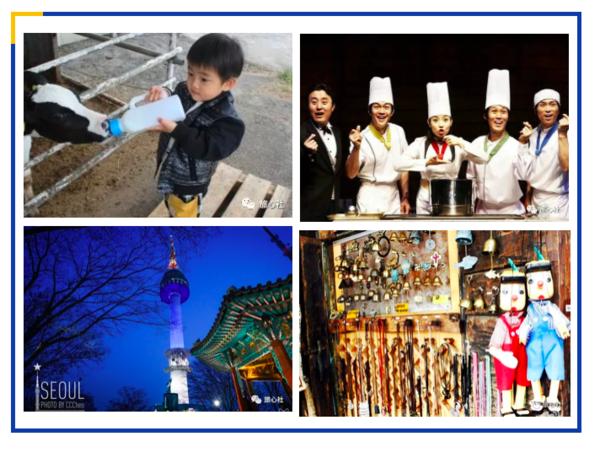 济州岛一年往返12次,到济州岛旅行行程