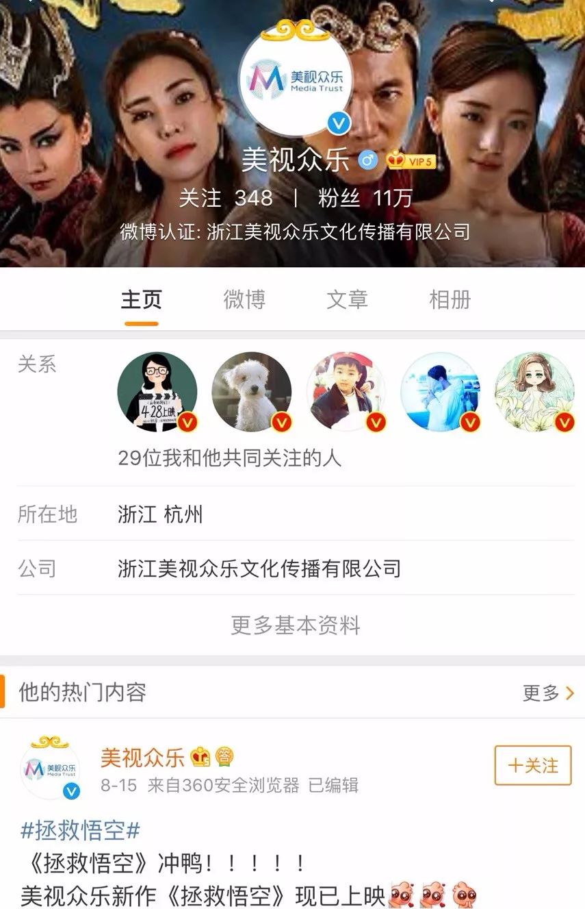 美视众乐，一家人数最少的网大头部公司