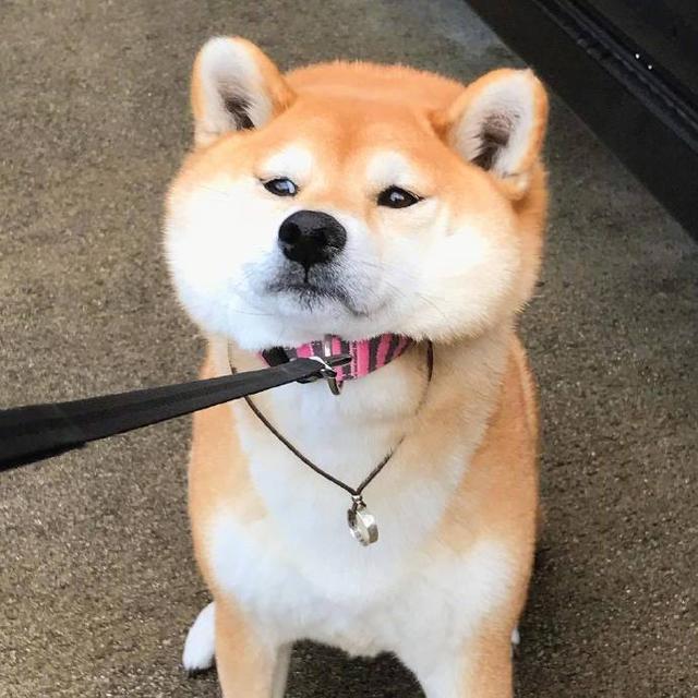 早安坚持励志正能量的句子朋友圈,晚上加班发朋友圈励志的精美句子