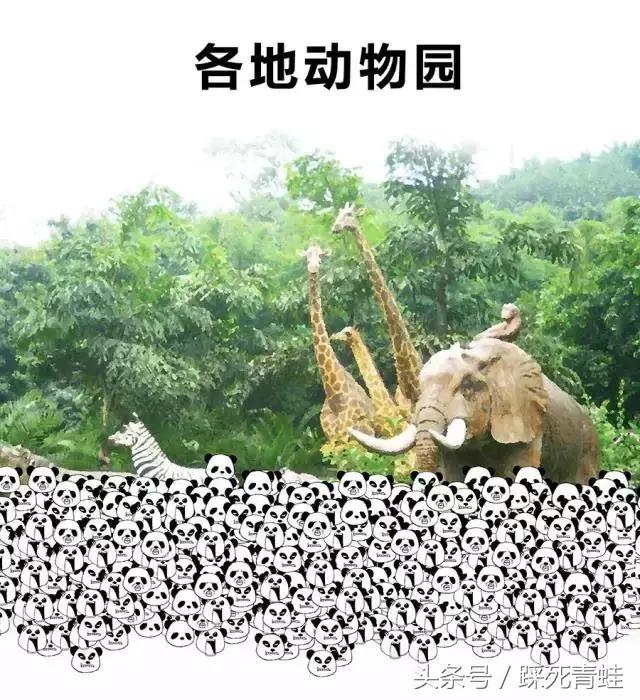 金麟湾温泉度假酒店房间内泡池,金麟湾温泉度假酒店优惠团购