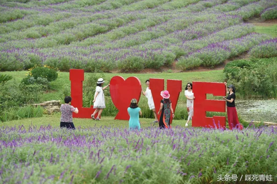 金麟湾温泉度假酒店房间内泡池,金麟湾温泉度假酒店优惠团购
