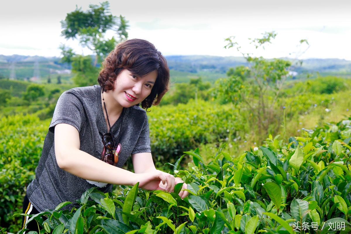 蚂蚁旅游专线云南之旅,蚂蚁旅游行