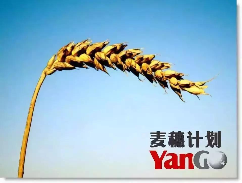 阳光城的销售模式,阳光城营销的基础属性