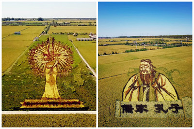 稻梦空间亲子游一日游,亲子游玩沈阳稻梦空间跟团游