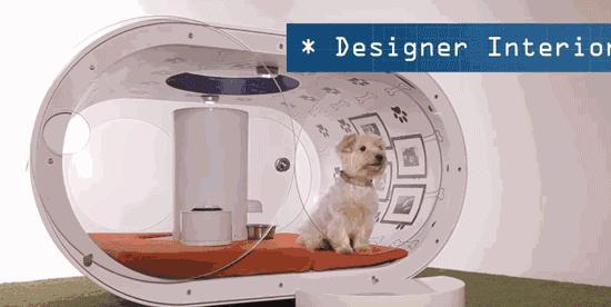 长假在即，铲屎官不敢出门？智能神器来帮你！