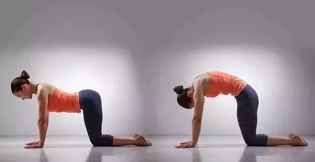 猫牛式动作讲解,猫牛式正确练习和错误练习