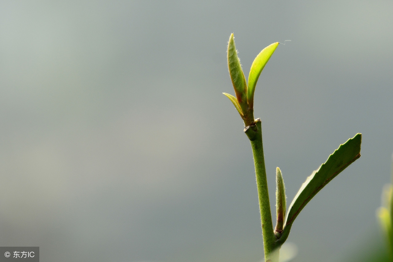 患结核的帅小哥很憋屈:4个月没牵女朋友的手,我现在还传染吗?