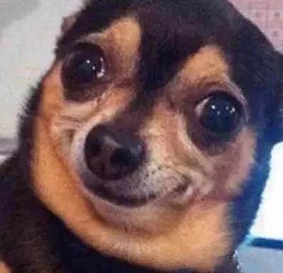 adidas实体店能买到yeezy吗,阿迪线下实体店yeezy