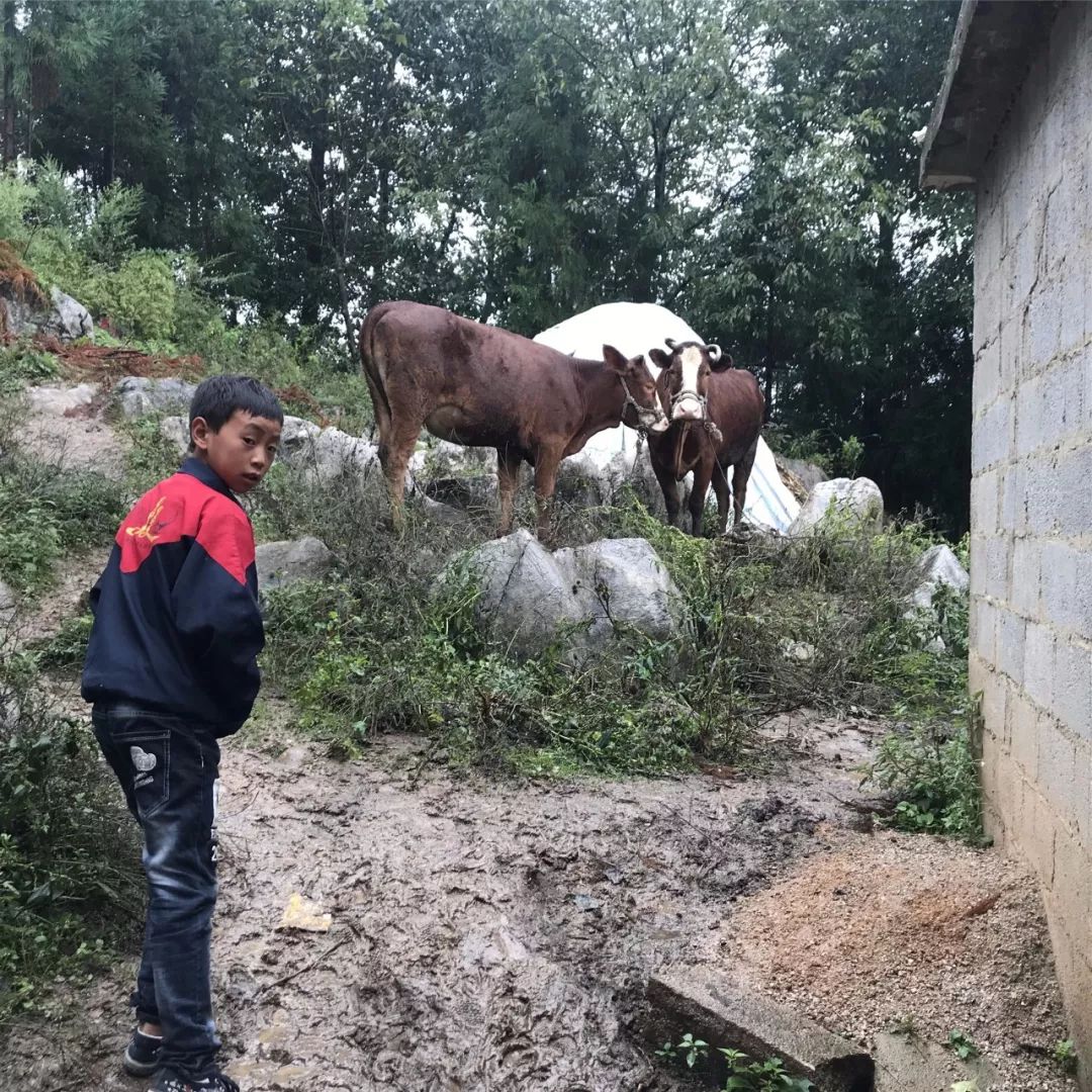 一群外来人带着「梦想」的旅行箱，打破了山娃娃们的平静生活……