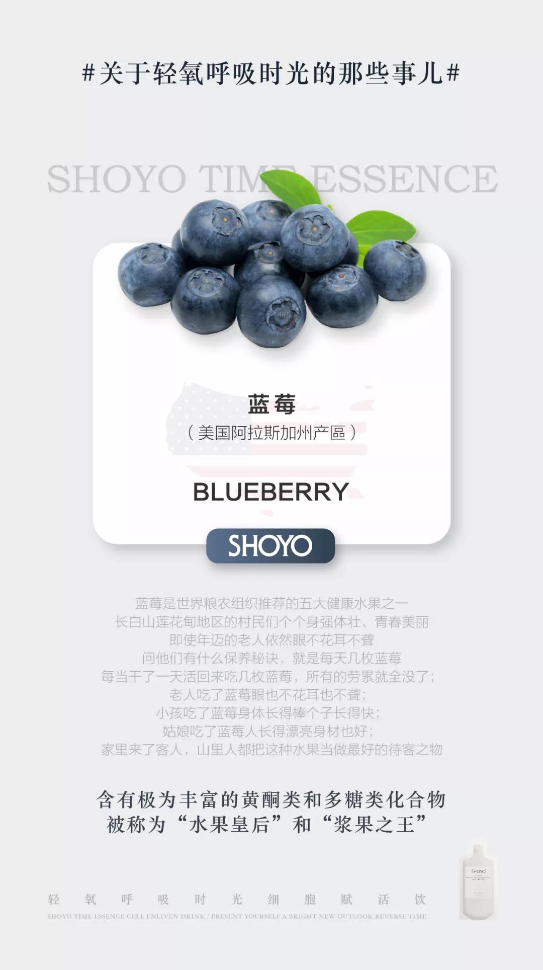 河北白藜芦醇活动价多少钱,河北质优价美白藜芦醇