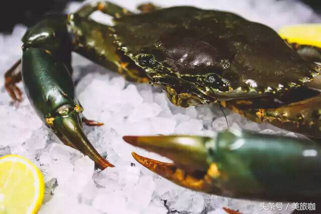 重庆必住十大网红酒店,重庆周边网红风景酒店推荐