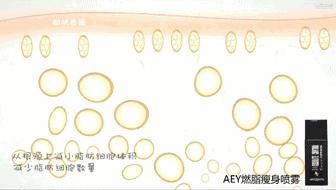 超级有魅力的星座女生来看看吧,比较有魅力的星座女前三