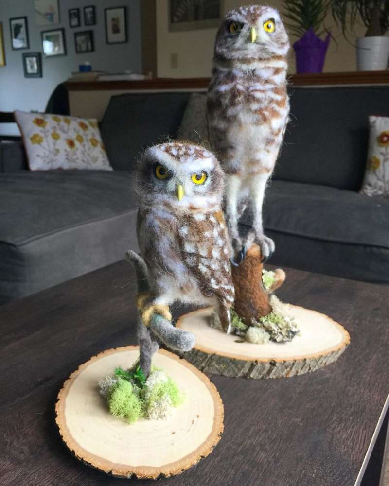 第一眼竟然以为它会动！26个好像有灵魂附体的拟真羊毛毡