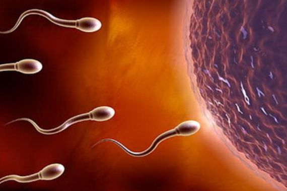 男性的“精液”若有3种表现，就偷着乐吧，说明你的生育能力很强