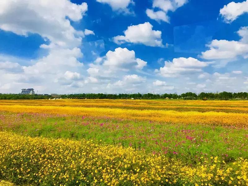 提到扬州你会想到什么,影视剧中提到扬州