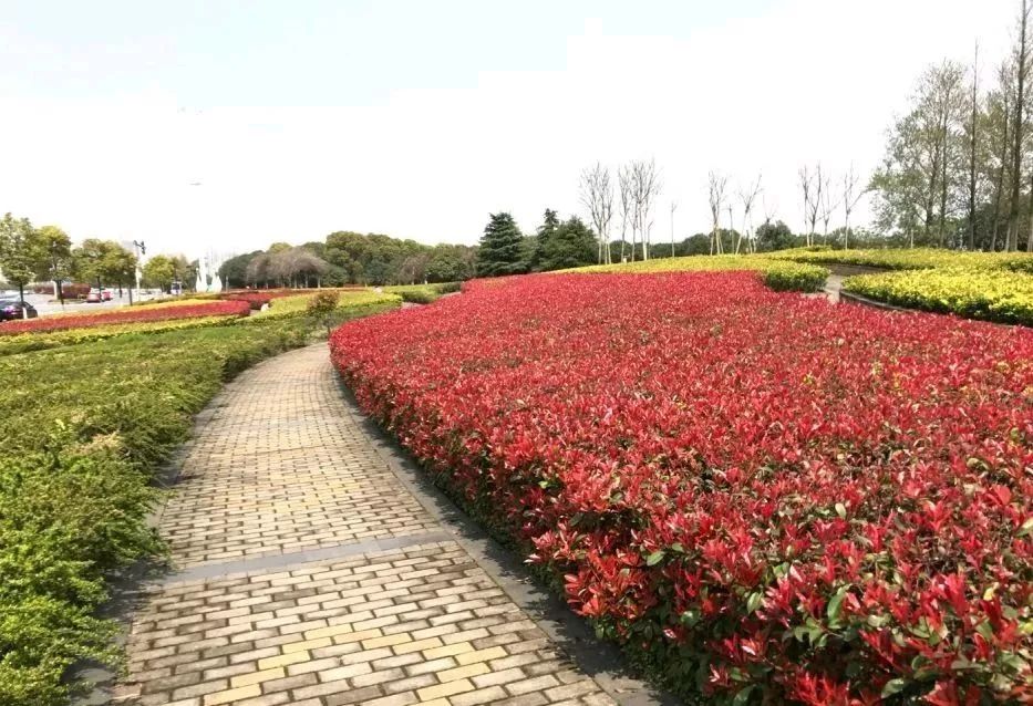 南昌纯玩一日游必去景点攻略图,南昌游玩景点推荐一日游攻略