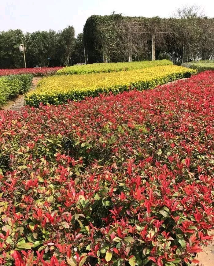 南昌所有旅游景点,南昌49个景点免费