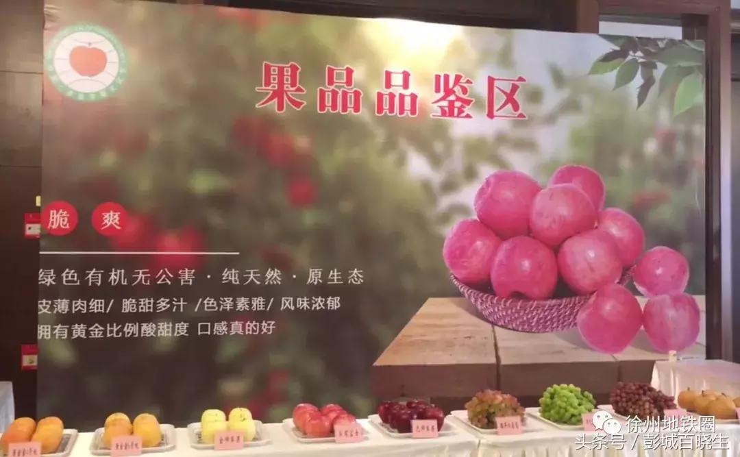 国庆节丰县附近旅游景点推荐,国庆节徐州去哪里玩好