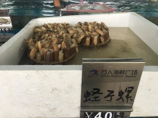 海口特色美食游玩攻略,玩转海口经典美景加美食攻略