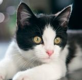 南京中大医院哪个科室好,全国医院100强名单南京