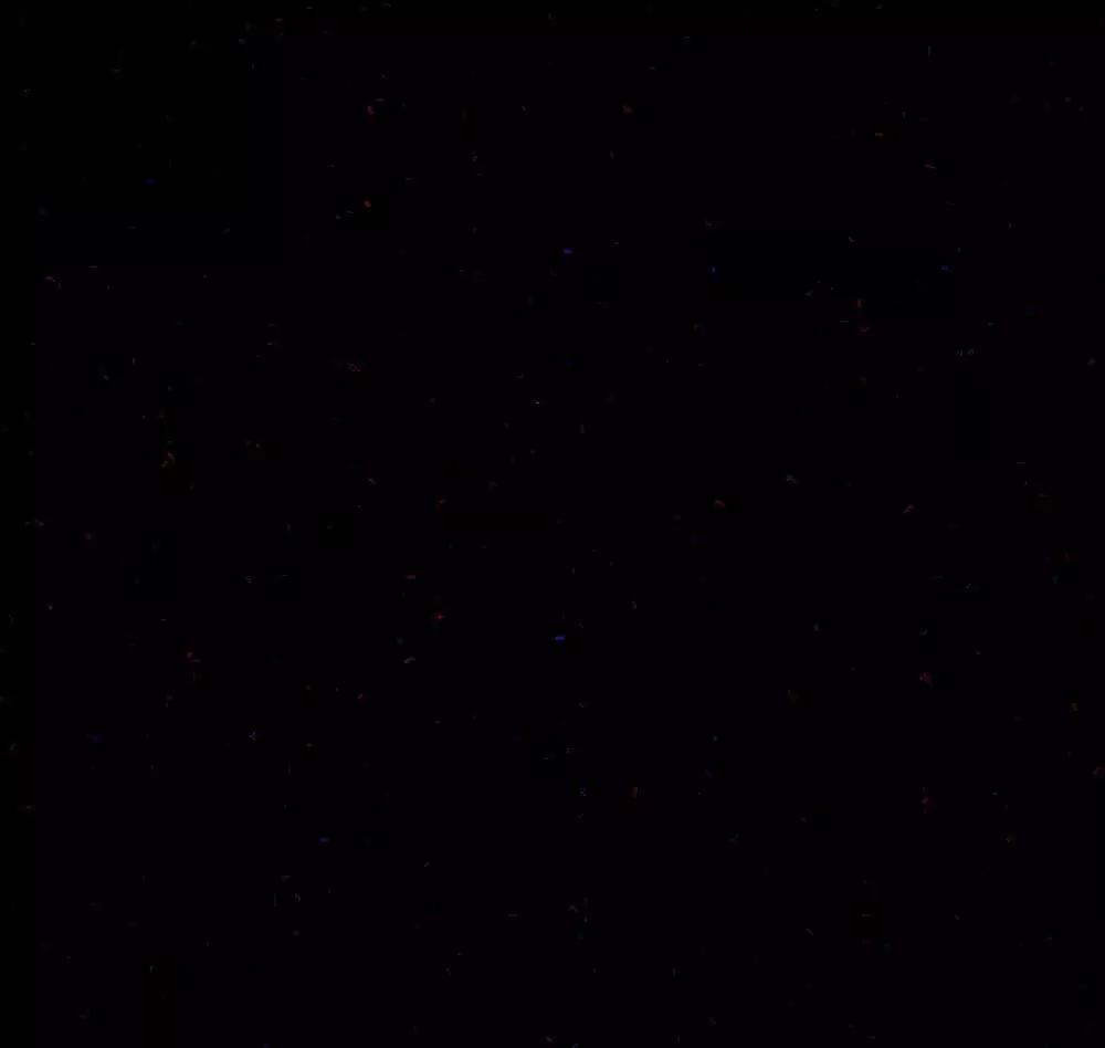 小白实用摄影技巧,小白摄影入门单反推荐