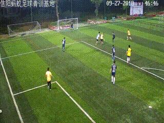 信阳大黄蜂足球,河南信阳蚂蚁足球俱乐部