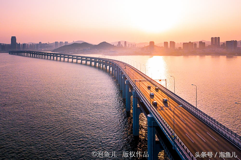 大连极地企鹅,南极企鹅求婚视频