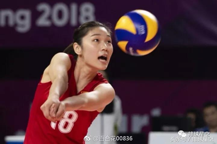 看女排世锦赛,观看女排比赛