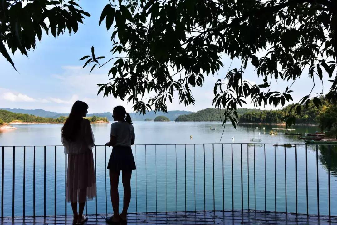 人均350+，住千岛湖最美民宿，吃大鱼头，还有私人小岛定制美拍！