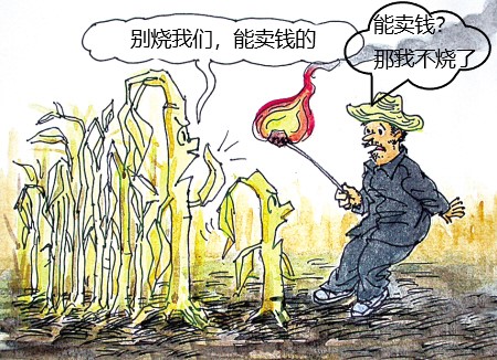 秸秆转化为生物质炭还田的利与弊,秸秆炭化还田改良方法