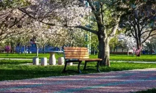 国庆去大连旅游攻略,国庆大连游玩攻略