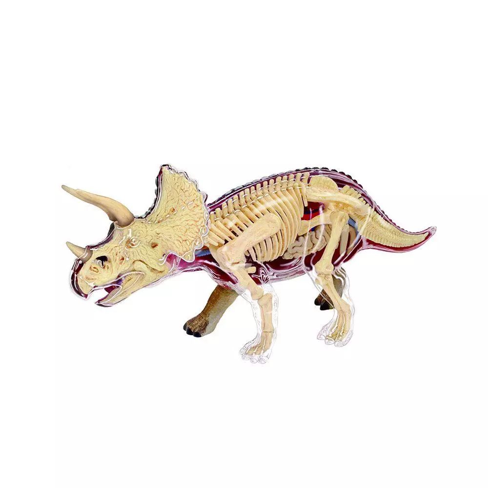 模型supreme (supreme模型)