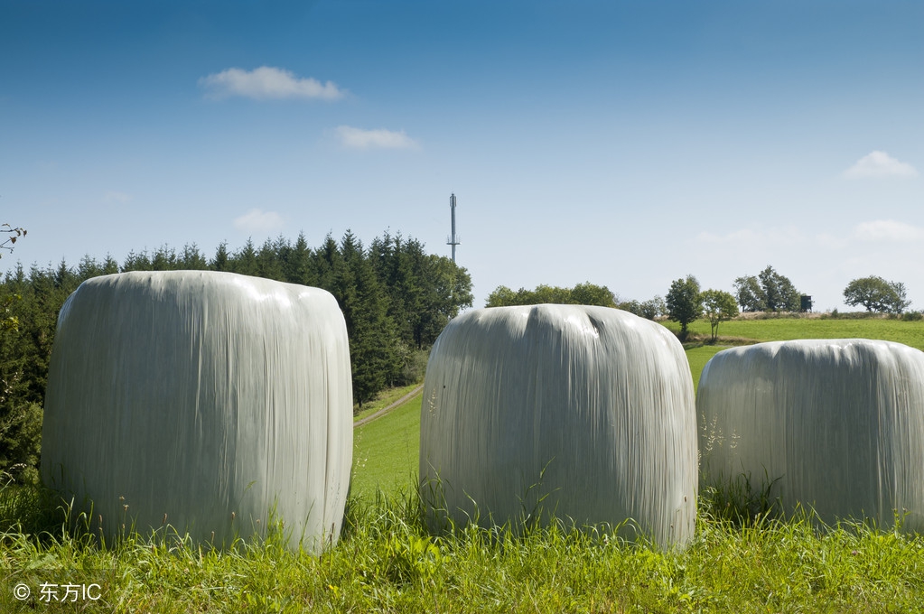 青贮饲料变坏怎么恢复,青贮过度发酵