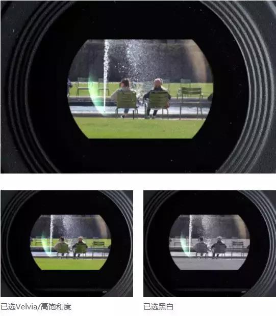 秋天出游相机推荐,适合方便旅游拍照的相机推荐