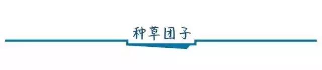 健康低脂又饱腹的零食推荐,吃不胖的经典零食