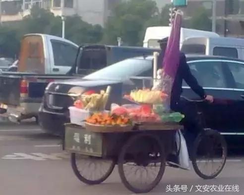 鲜丰水果创始人韩树人老家,鲜丰水果创始人韩树人哪里人