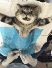 中国大妈出国探望儿子，行李箱被打开的那一刻，所有人都惊呆了！