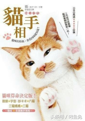 猫咪手相可以看出什么性格 (怎么给猫咪测手相)