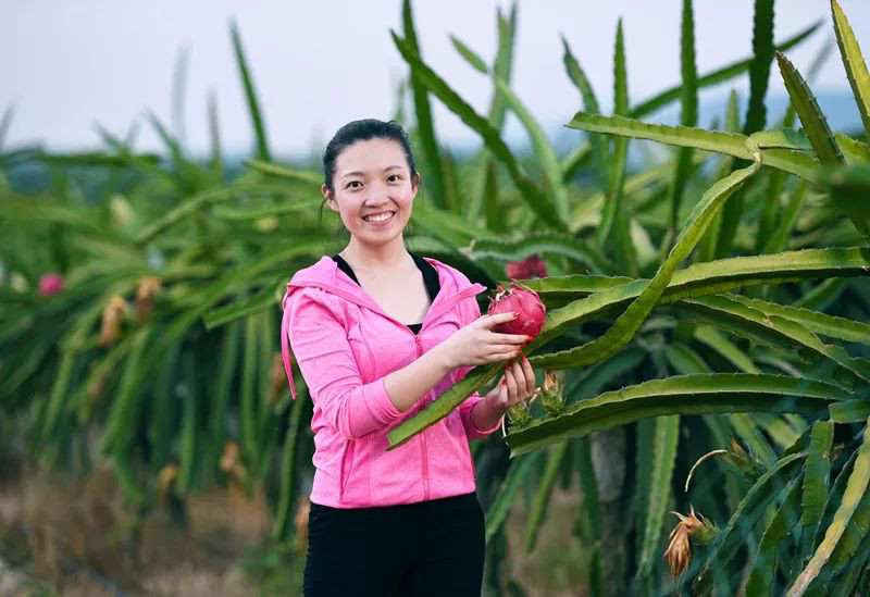 中国农民丰收节与三农建设,农民丰收节重农强农