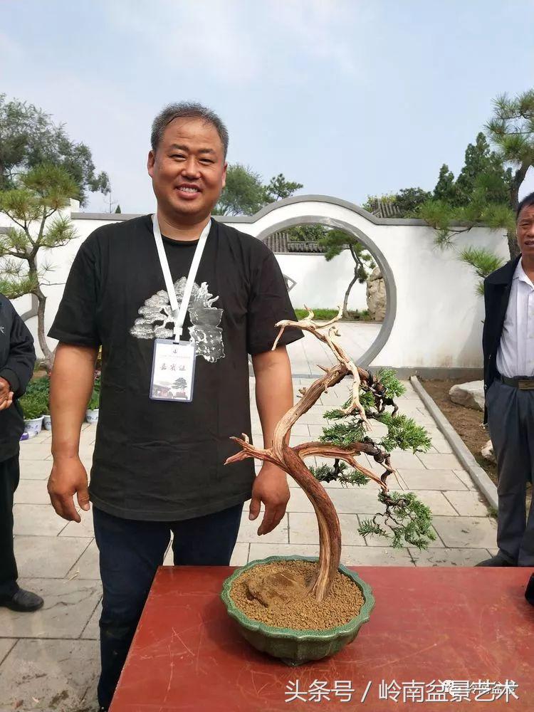 百年精品流苏老桩盆景,精品南天竺盆景