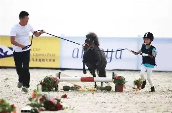 「竞赛通知」富国高银杯2018 FFE PONY挑战赛