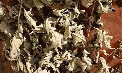 艾叶桑枝沐足汤,艾叶老姜泡脚