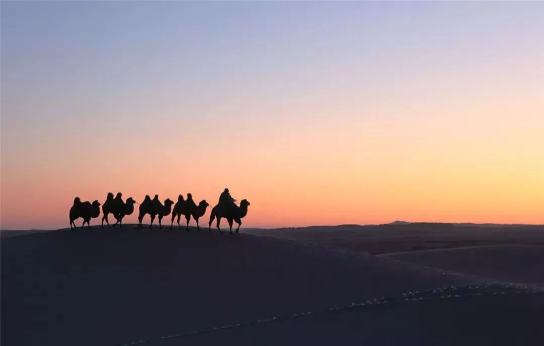 自驾露营攻略最新 (自驾露营最失败的地方)