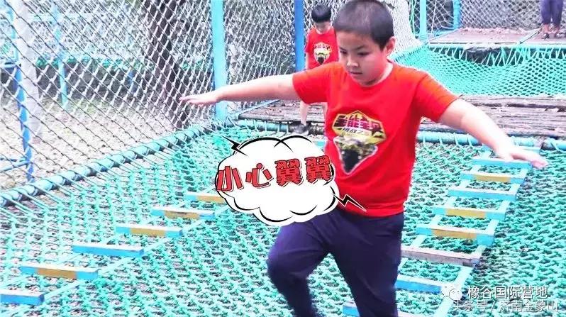 全能宝贝济南,金象山橡谷国际营地